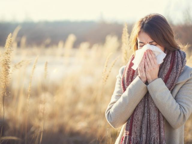 7 Astuces Infaillibles pour Soulager vos Allergies : Votre Infirmière Vous Conseille